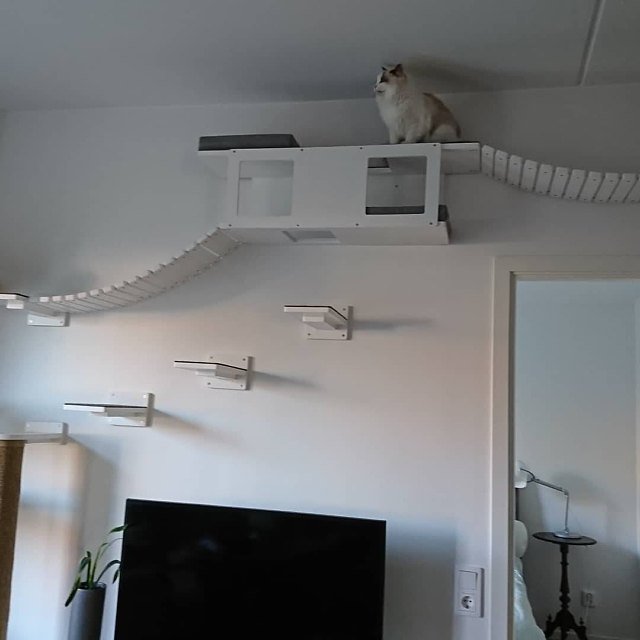 Cat Wall Shelf Bed - Wally Tunnel - Scratchy Things Premium Pet Furniture