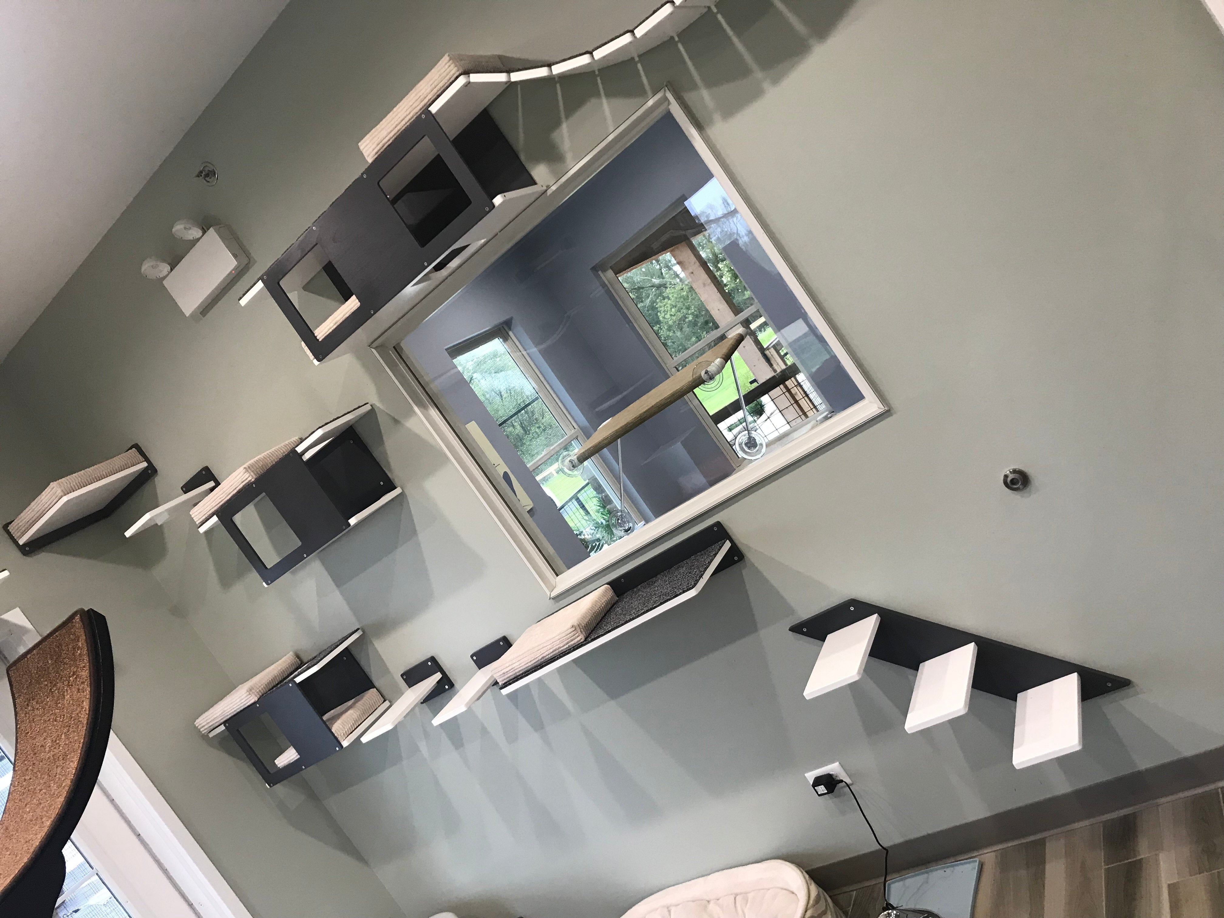 Cat Wall Shelf Bed - Wally Tunnel - Scratchy Things Premium Pet Furniture