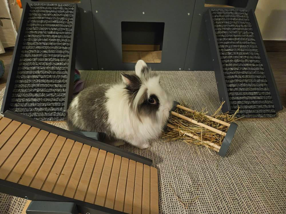 Rabbit House Box Tunnel Castle Fortress - Nibbler Castle - Scratchy Things Premium Pet Furniture