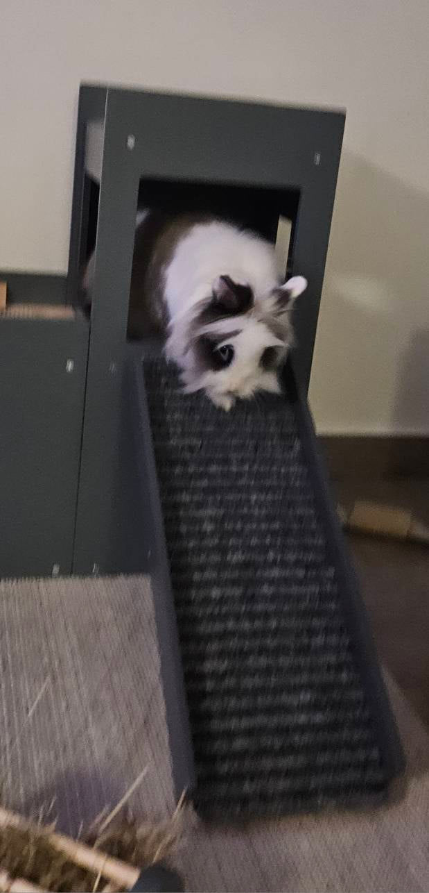 Rabbit House Box Tunnel Castle Fortress - Nibbler Castle - Scratchy Things Premium Pet Furniture