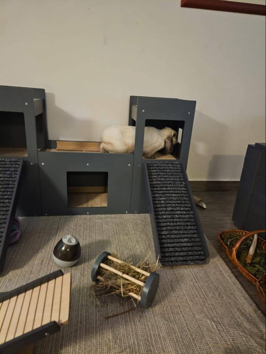 Rabbit House Box Tunnel Castle Fortress - Nibbler Castle - Scratchy Things Premium Pet Furniture