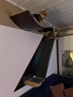 Cat Wall Bridge Ramp Shelf Step - Wally Link - Scratchy Things Premium Pet Furniture