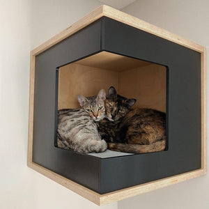 Cat Wall Shelf Bed Corner Box - Wally CornerBox - Scratchy Things Premium Pet Furniture