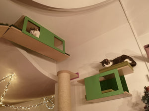 Cat Ceiling Shelf Bed - Wally Tunnel Top - Scratchy Things Premium Pet Furniture