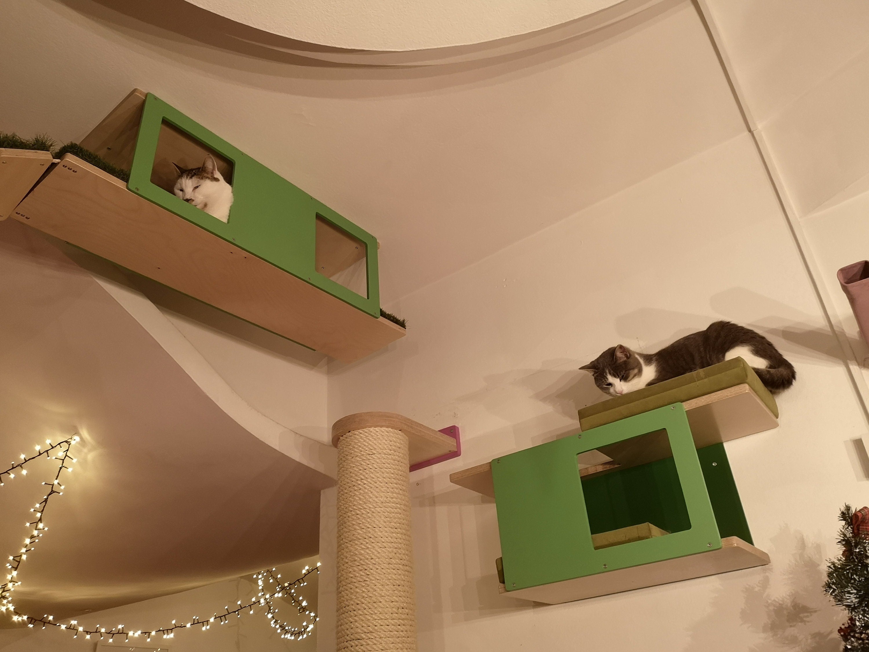 Cat Ceiling Shelf Bed - Wally Tunnel Top - Scratchy Things Premium Pet Furniture