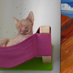 Cat Wall Shelf Bed Hammock - Wally ComboCot - Scratchy Things Premium Pet Furniture