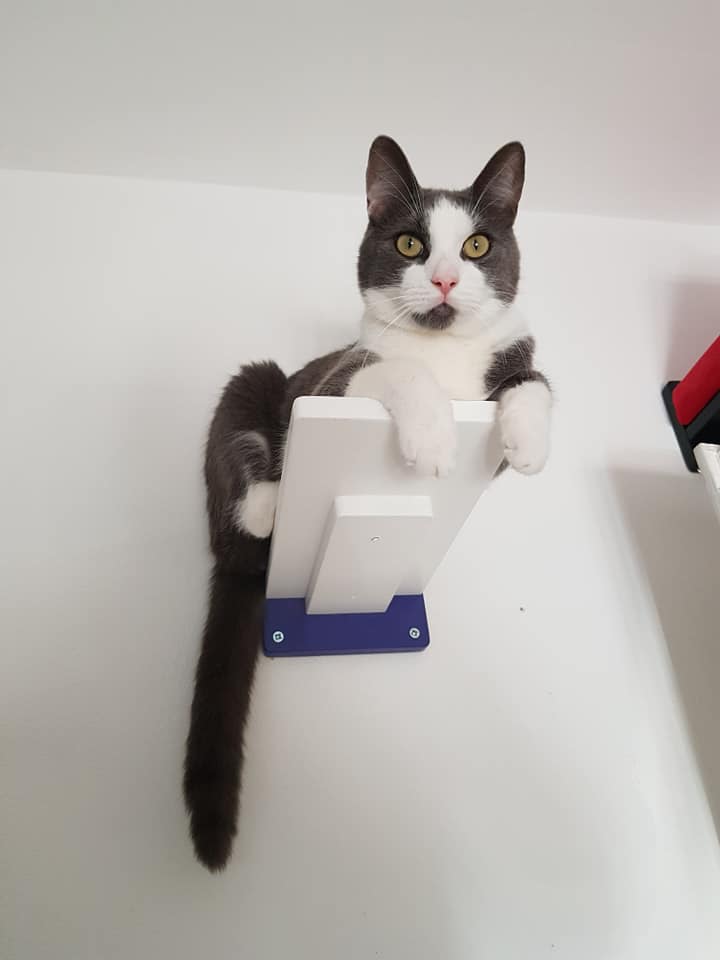 Car Wall Step Shelf - Wally 1-Step - Scratchy Things Premium Pet Furniture