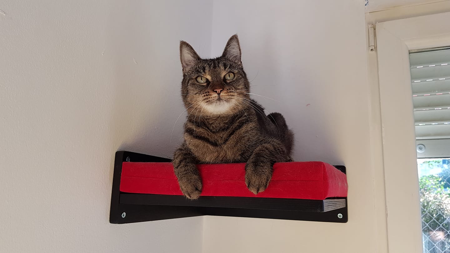 Cat Wall Shelf Bed Corner - Wally Corner - Scratchy Things Premium Pet Furniture