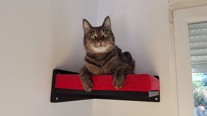 Cat Wall Shelf Bed Corner - Wally Corner - Scratchy Things Premium Pet Furniture