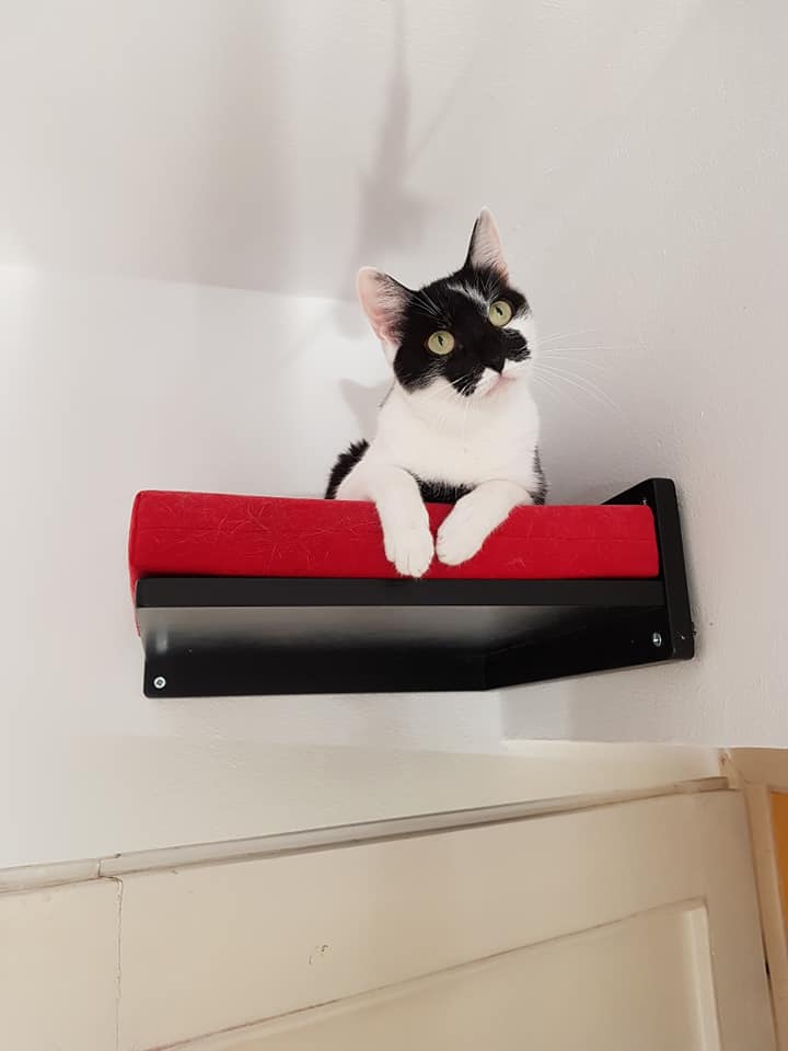 Cat Wall Shelf Bed Corner - Wally Corner - Scratchy Things Premium Pet Furniture