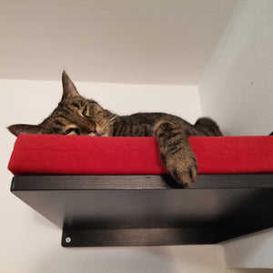 Cat Wall Shelf Bed Corner - Wally Corner - Scratchy Things Premium Pet Furniture