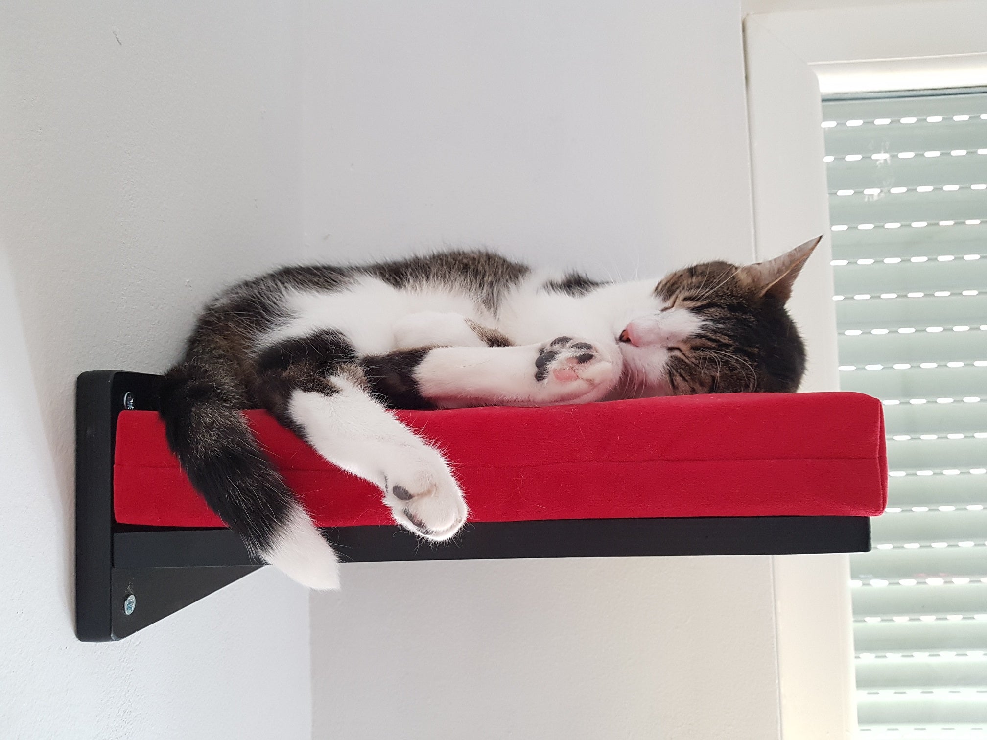 Cat Wall Shelf Bed Corner - Wally Corner - Scratchy Things Premium Pet Furniture