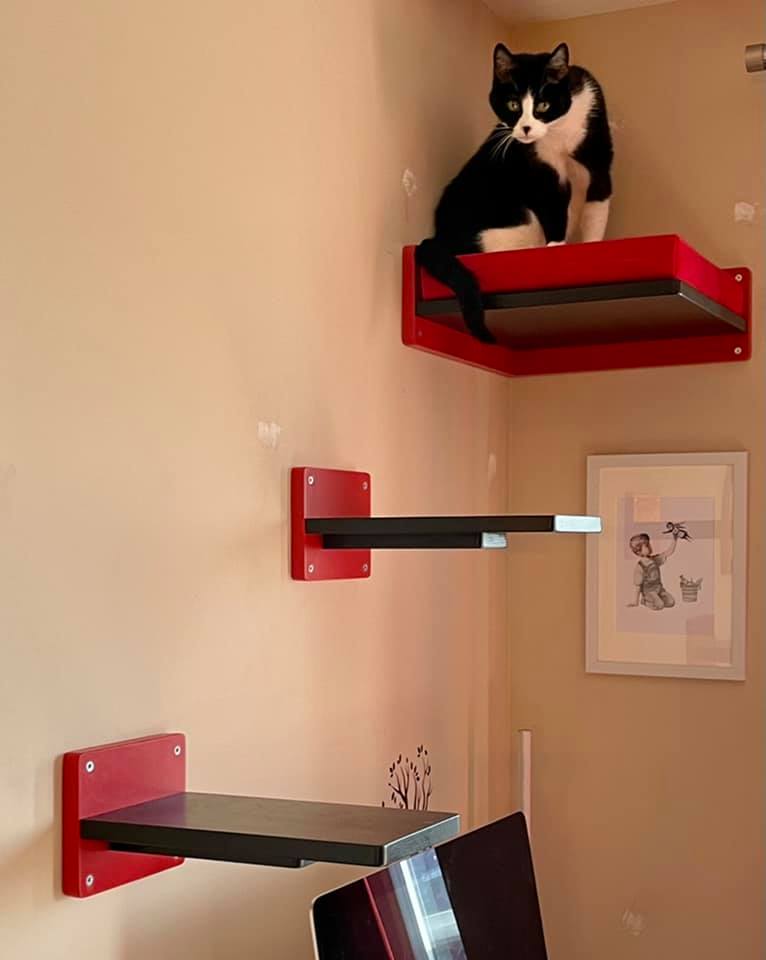 Car Wall Step Shelf - Wally 1-Step - Scratchy Things Premium Pet Furniture