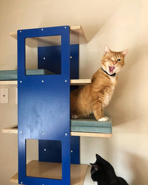 Cat Wall Shelf Bed - Wally Stacker - Scratchy Things Premium Pet Furniture