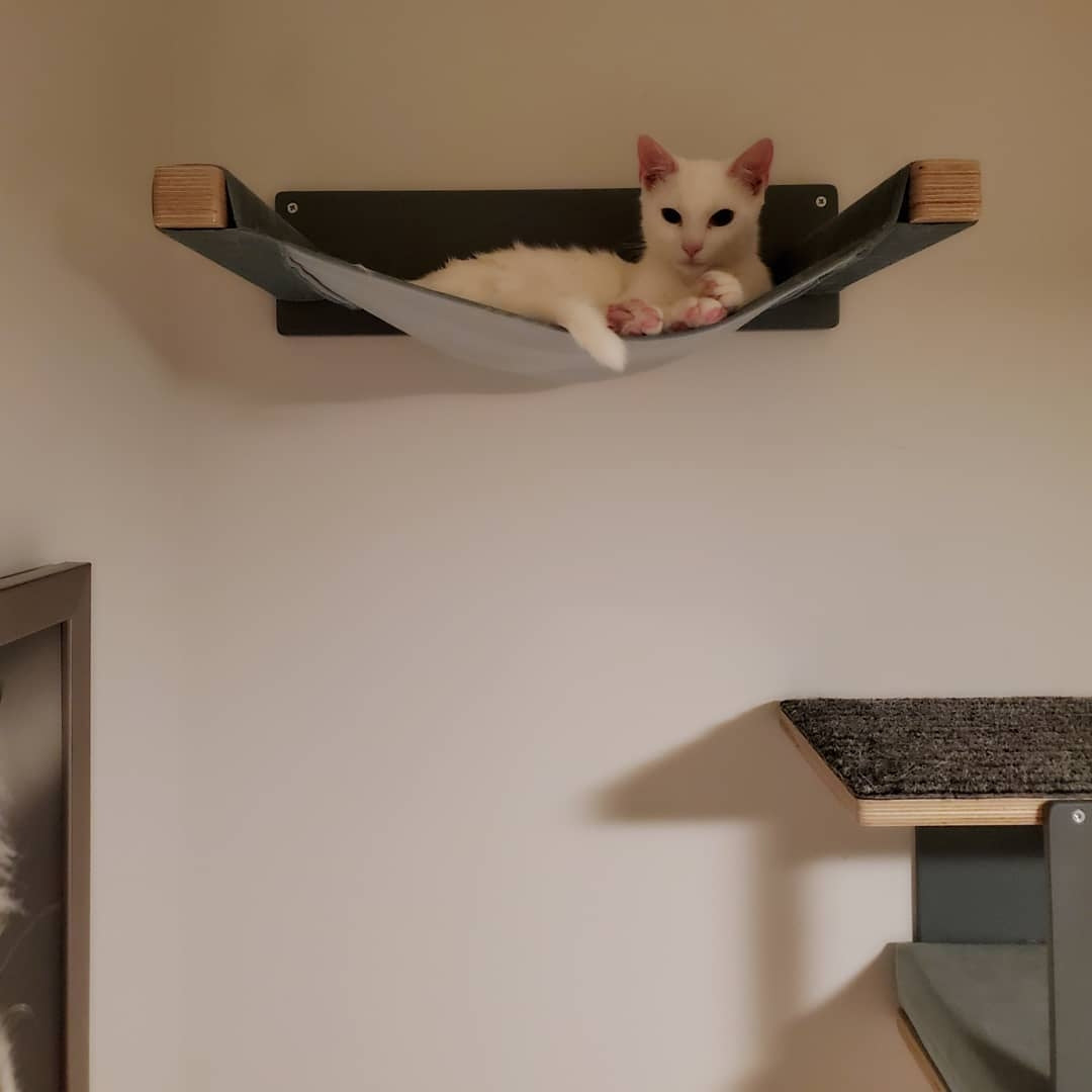 Cat Wall Shelf Bed Hammock - Wally Cot - Scratchy Things Premium Pet Furniture