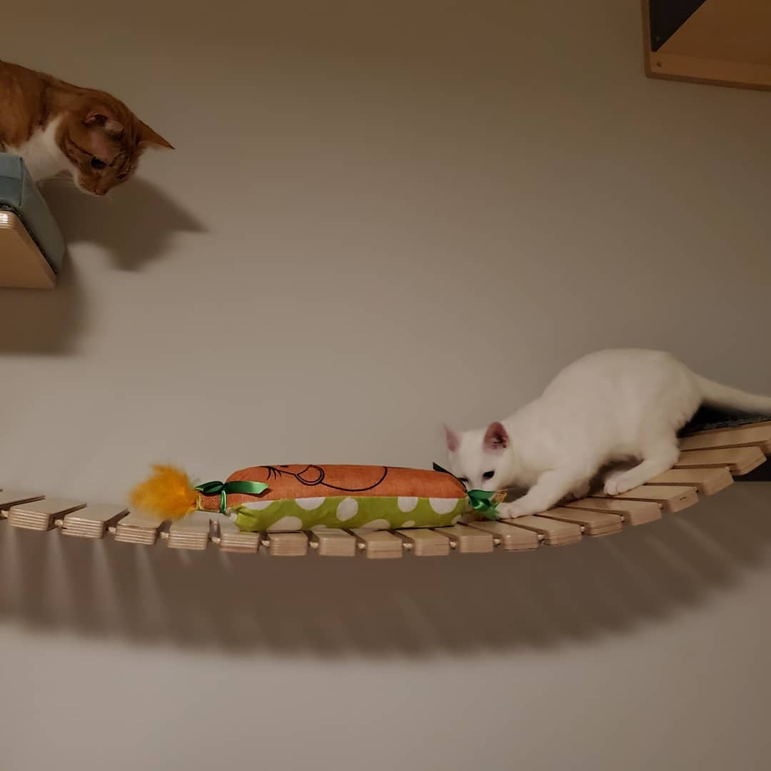 Cat Wall Bridge Shelf Step - Wally Bridge - Scratchy Things Premium Pet Furniture