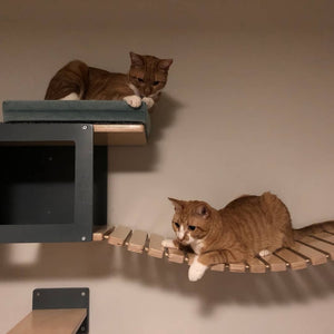 Cat Wall Bridge Shelf Step - Wally Bridge - Scratchy Things Premium Pet Furniture