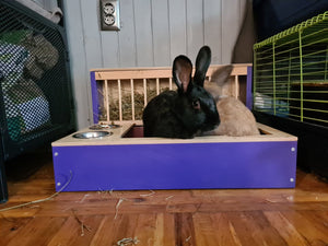 Rabbit Hay Feeder Litter box - Nibbler Combo Spectra 3in1 - Scratchy Things Premium Pet Furniture