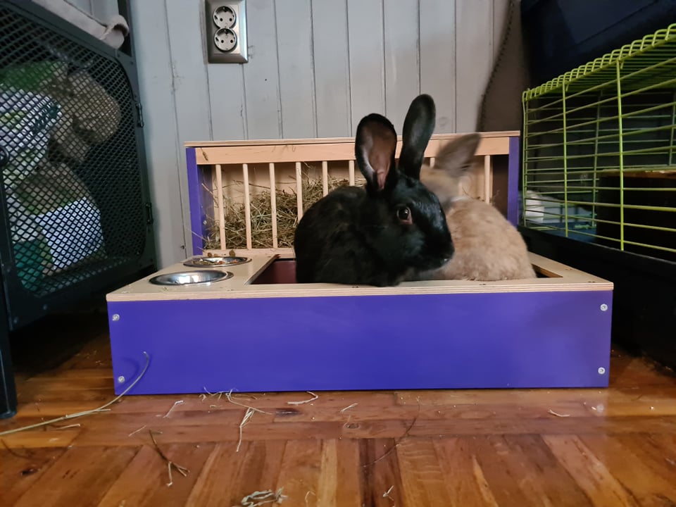 Rabbit Hay Feeder Litter box - Nibbler Combo Spectra 3in1 - Scratchy Things Premium Pet Furniture