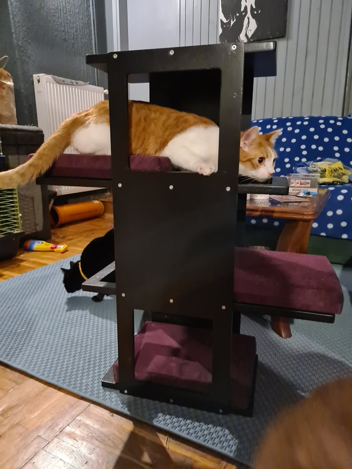 Cat Wall Shelf Bed - Wally Stacker - Scratchy Things Premium Pet Furniture