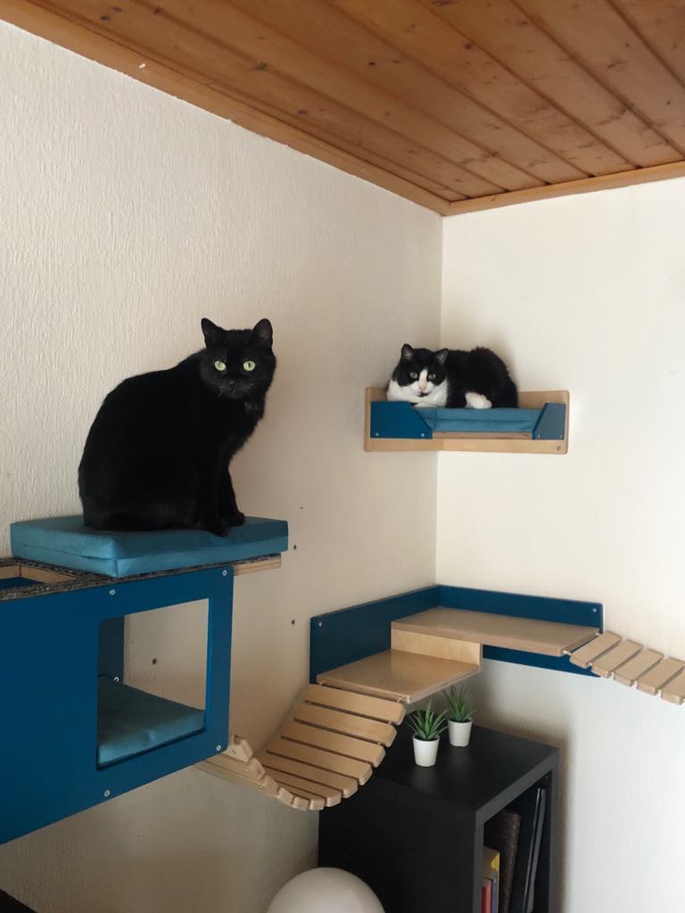 Cat Wall Shelf Corner - Wally Combo Corner - Scratchy Things Premium Pet Furniture