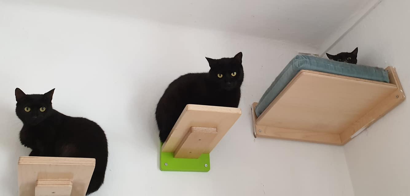 Cat Wall Shelf Bed Corner - Wally Corner - Scratchy Things Premium Pet Furniture