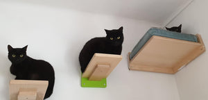 Cat Wall Shelf Bed Corner - Wally Corner - Scratchy Things Premium Pet Furniture