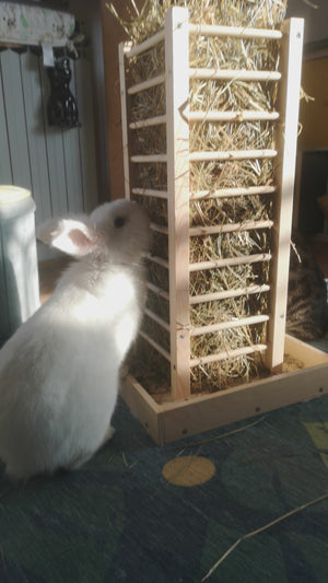 Nibbler HayTower - Scratchy Things