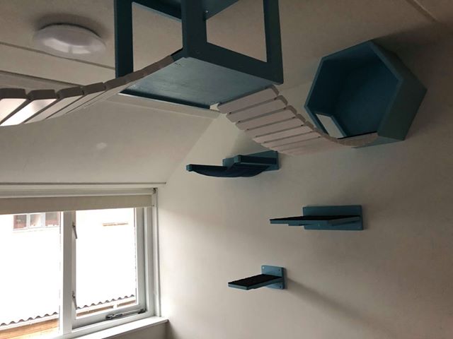 Cat Wall Bridge Shelf Step - Wally Bridge - Scratchy Things Premium Pet Furniture