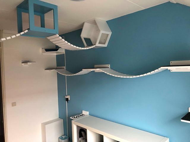 Cat Wall Bridge Shelf Step - Wally Bridge - Scratchy Things Premium Pet Furniture