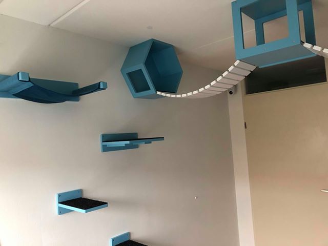 Cat Wall Bridge Shelf Step - Wally Bridge - Scratchy Things Premium Pet Furniture