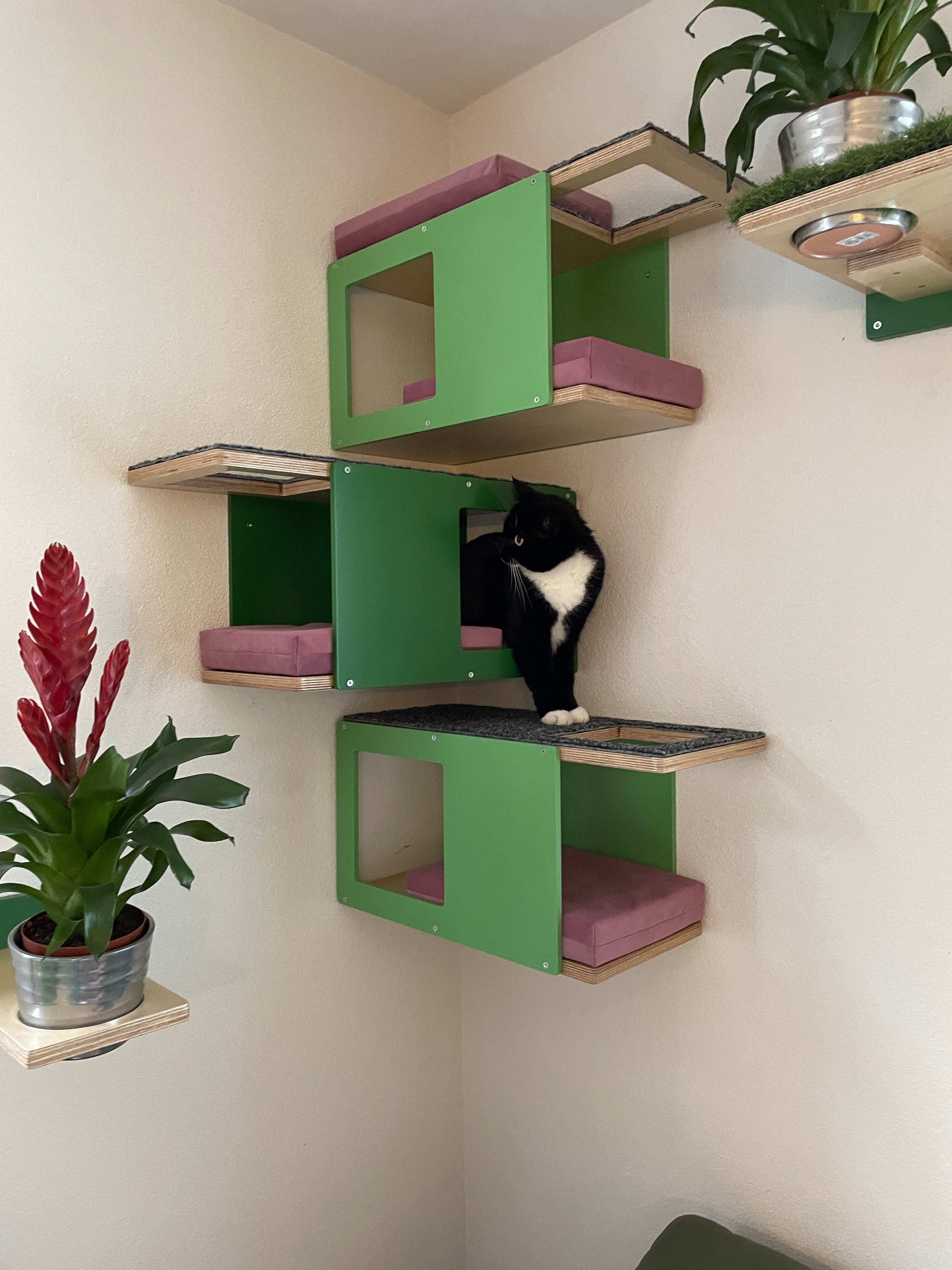Cat Wall Shelf Bed Corner Tunnel - Wally CornerTunnel - Scratchy Things Premium Pet Furniture