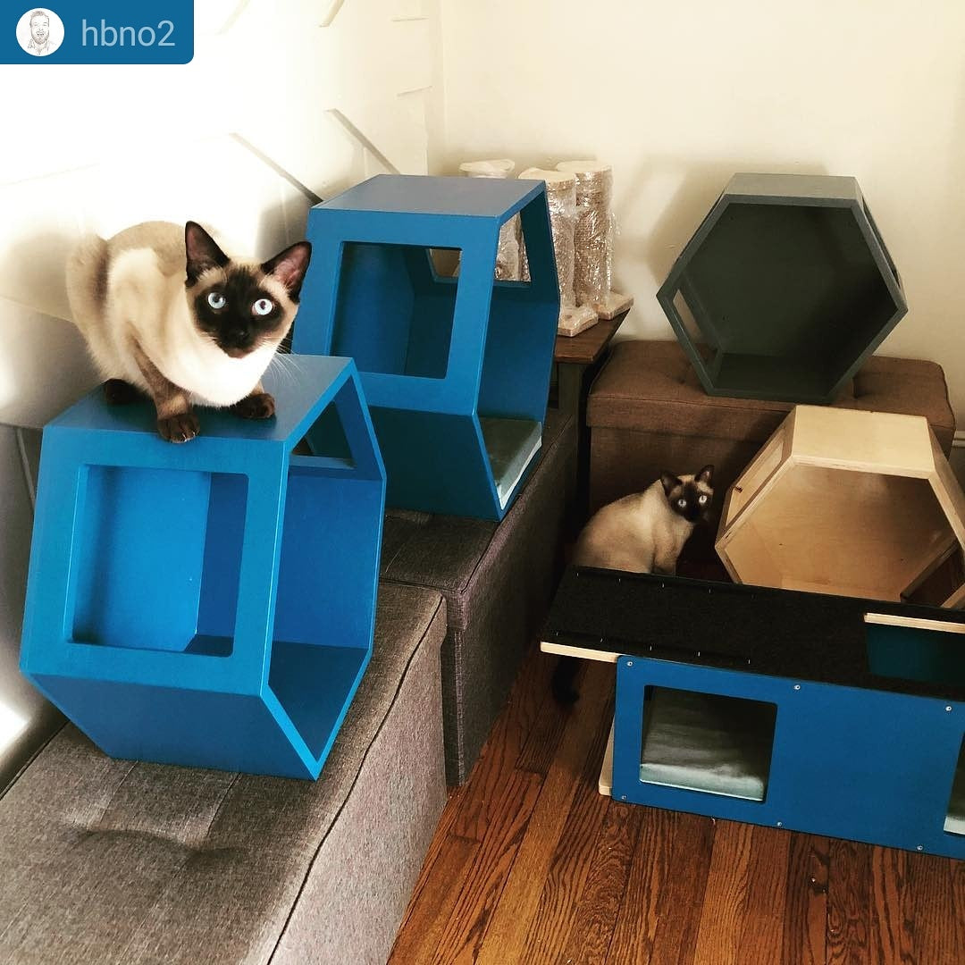 Cat Wall Shelf Hexagonal Bed - Wally Hex 25 - Scratchy Things Premium Pet Furniture