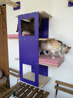 Big Cat Wall Shelf Bed - Wally BigCat Stacker - Scratchy Things Premium Pet Furniture