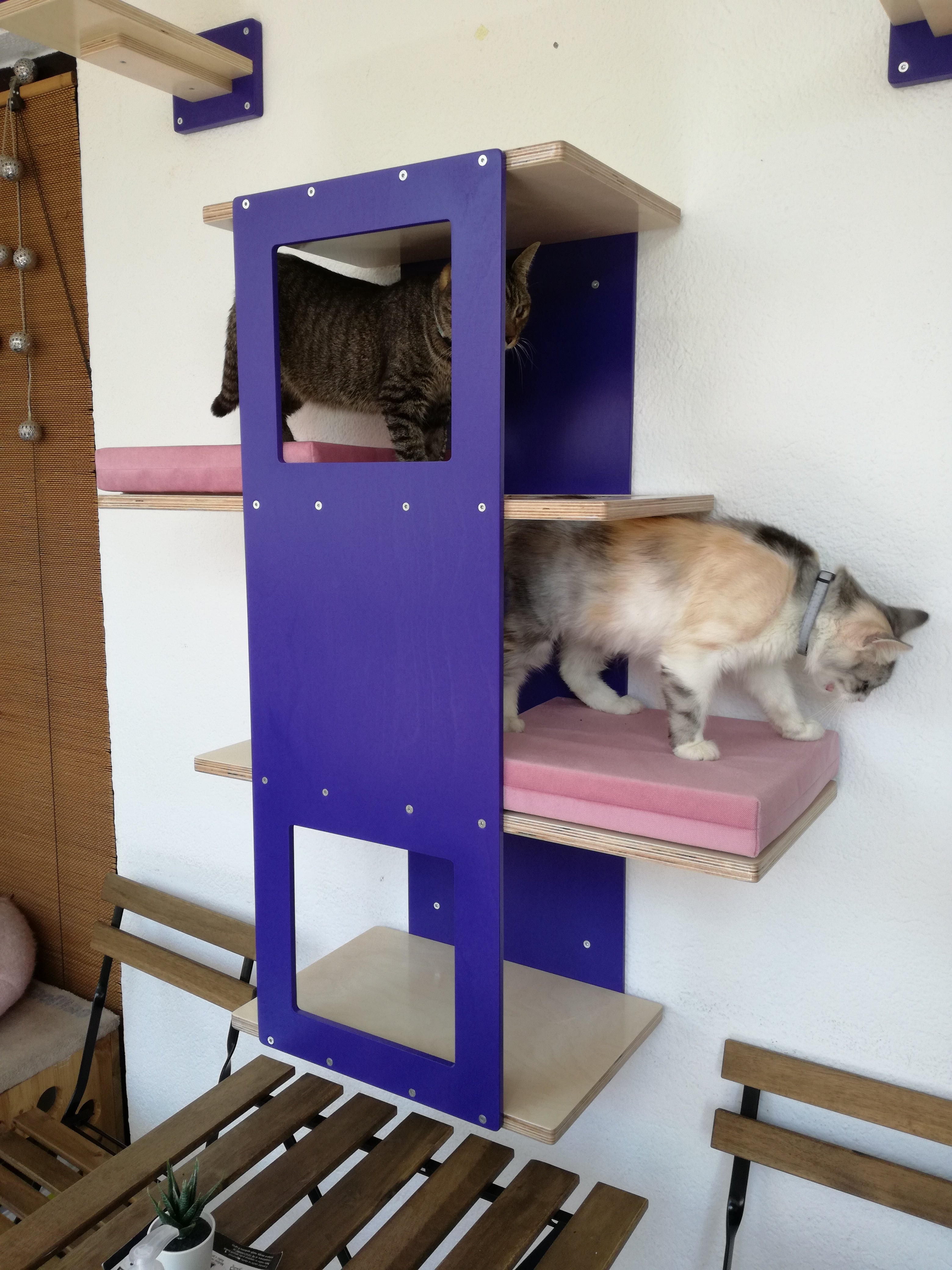 Big Cat Wall Shelf Bed - Wally BigCat Stacker - Scratchy Things Premium Pet Furniture