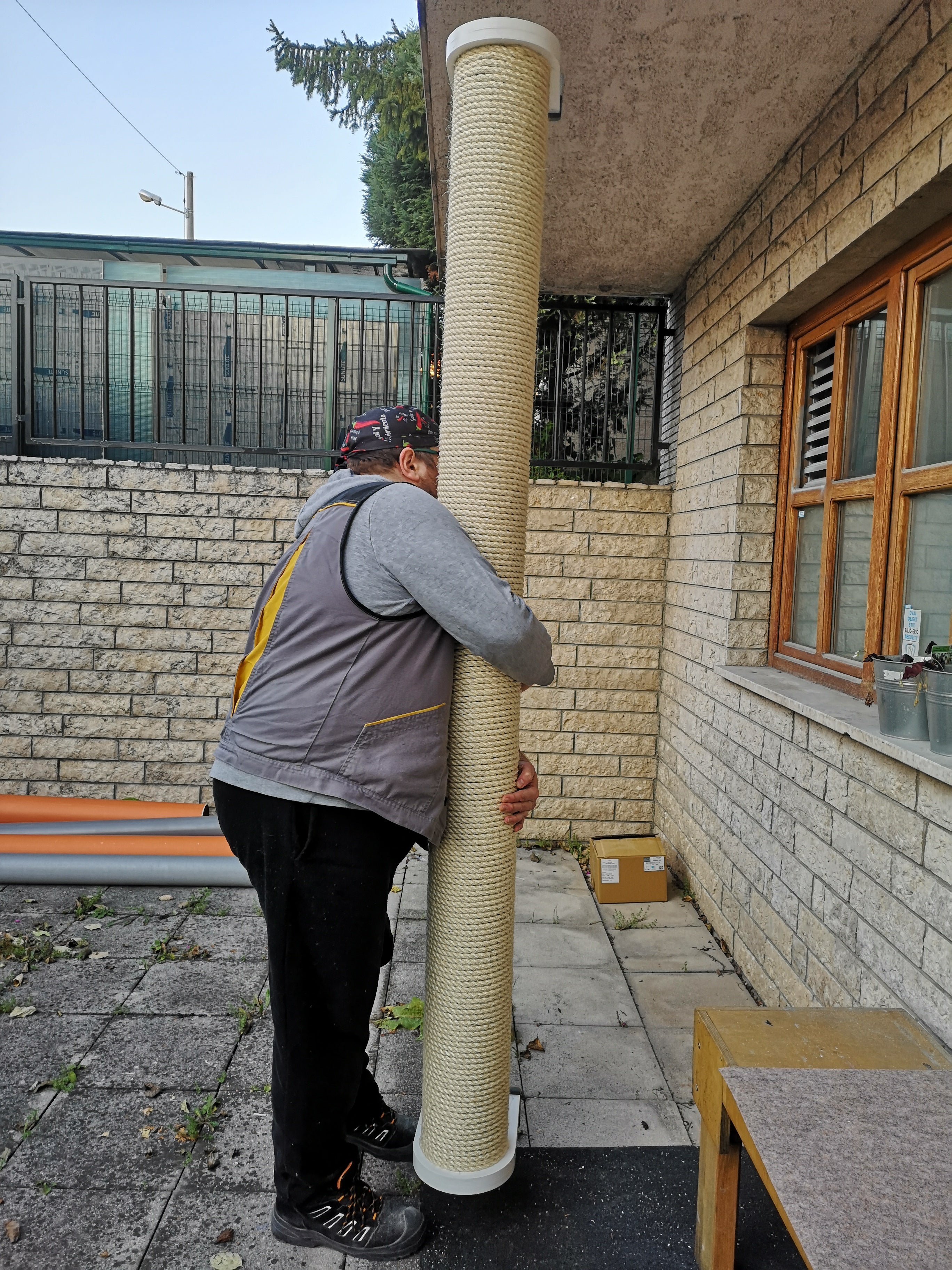 Cat Wall Scratching Pole Post Shelf - Mounty Chonk - Scratchy Things Premium Pet Furniture