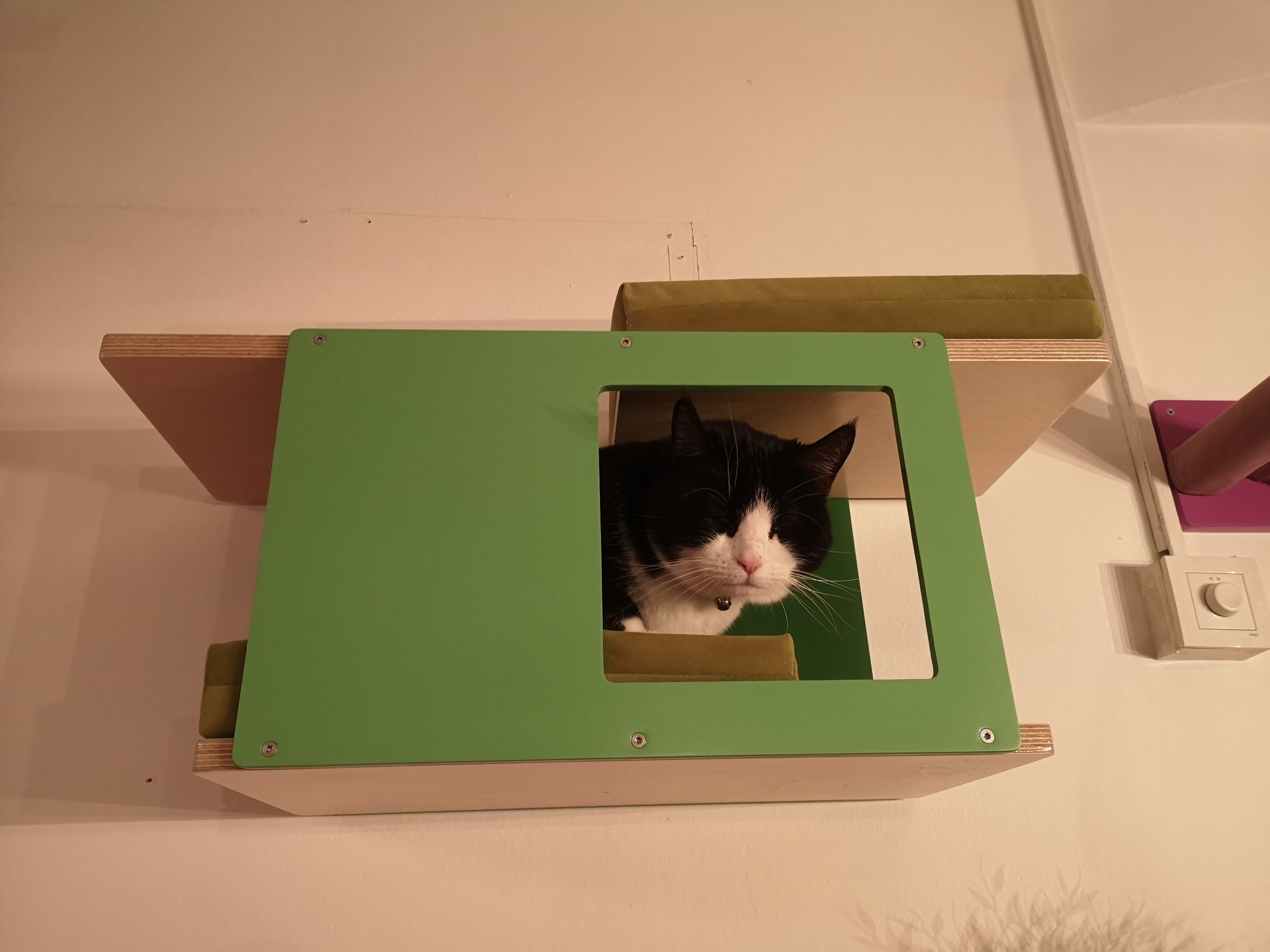 Cat Wall Shelf Bed - Wally Tunnel Mini - Scratchy Things Premium Pet Furniture