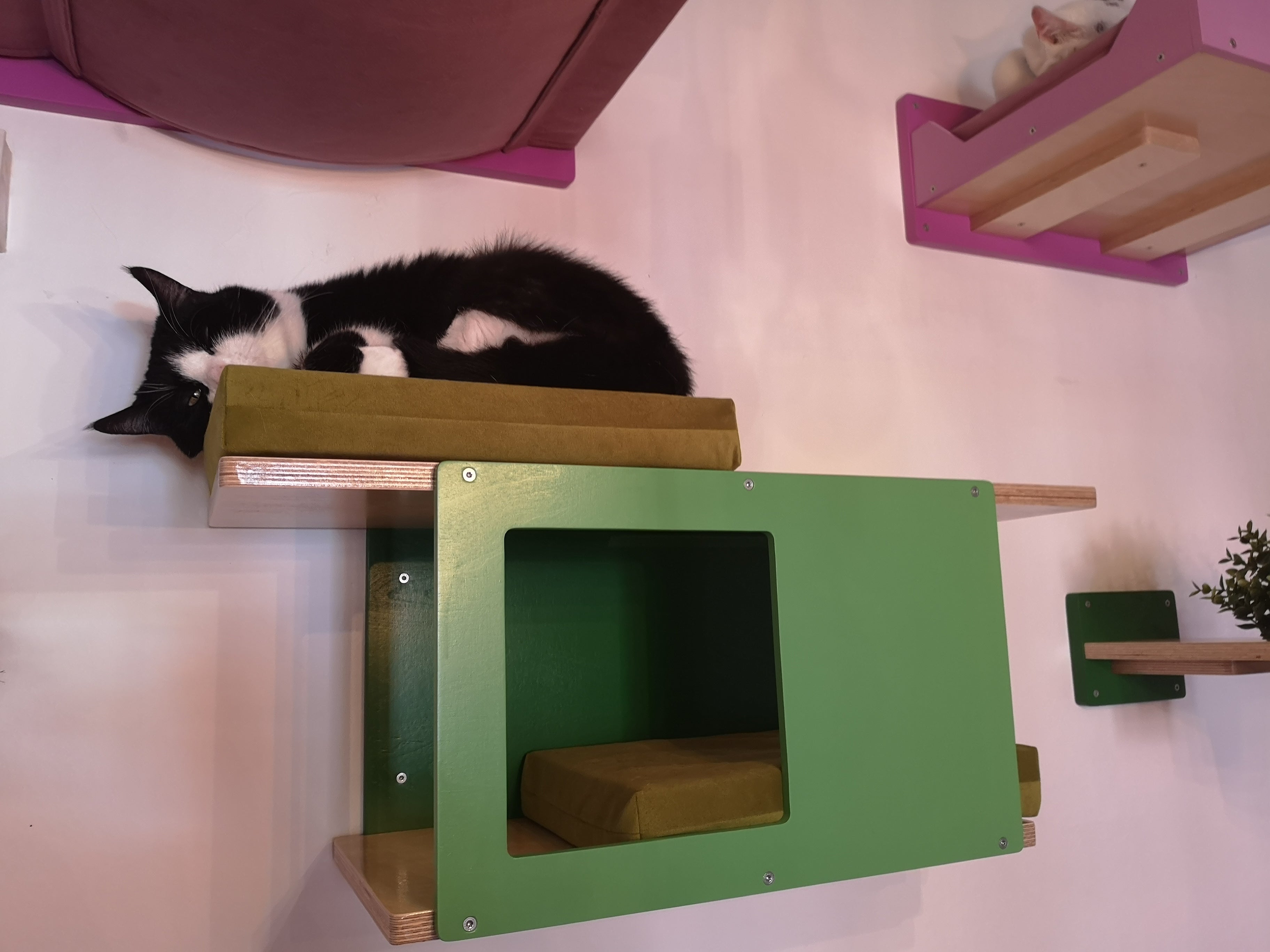 Cat Wall Shelf Bed - Wally Tunnel Mini - Scratchy Things Premium Pet Furniture