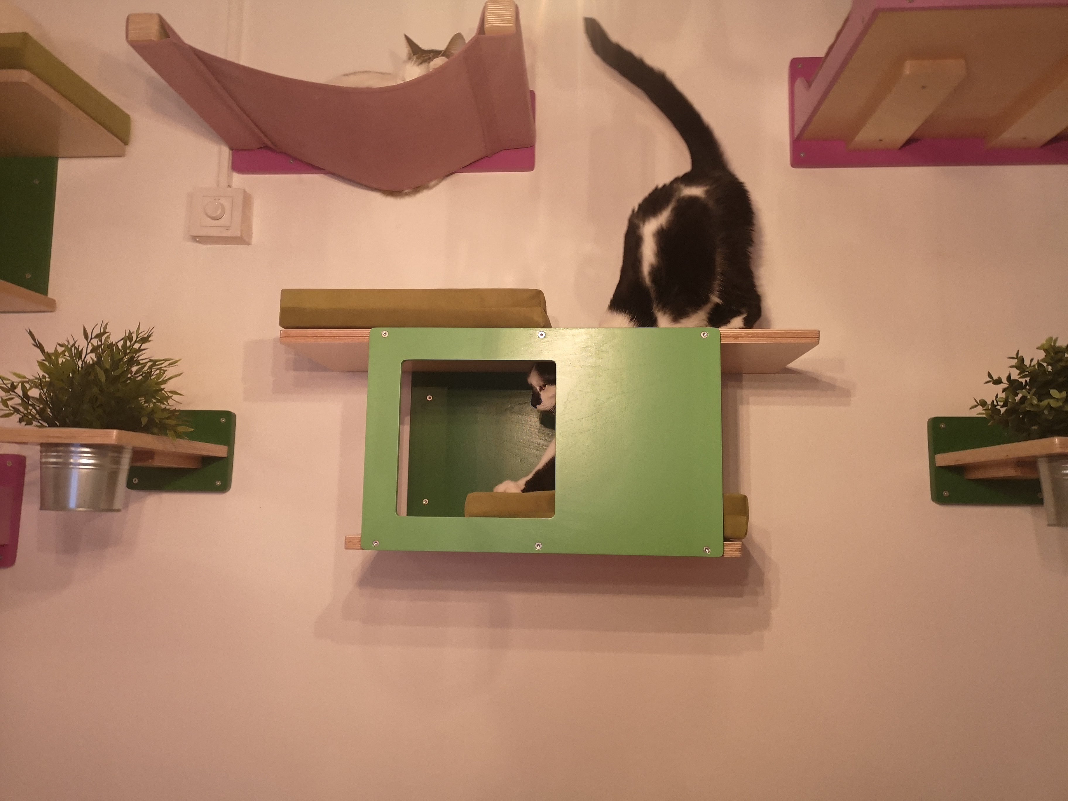 Cat Wall Shelf Bed - Wally Tunnel Mini - Scratchy Things Premium Pet Furniture