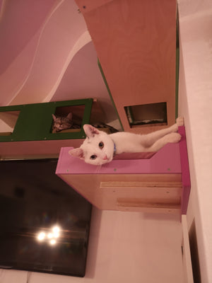 Big Cat Wall Shelf Bed - Wally BigCat Flat Plus - Scratchy Things Premium Pet Furniture