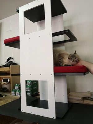 Big Cat Wall Shelf Bed Giant - Wally Giant Stacker - Scratchy Things Premium Pet Furniture