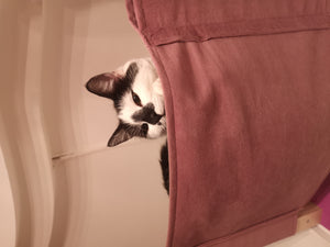 Cat Wall Shelf Bed Hammock - Wally Cot - Scratchy Things Premium Pet Furniture