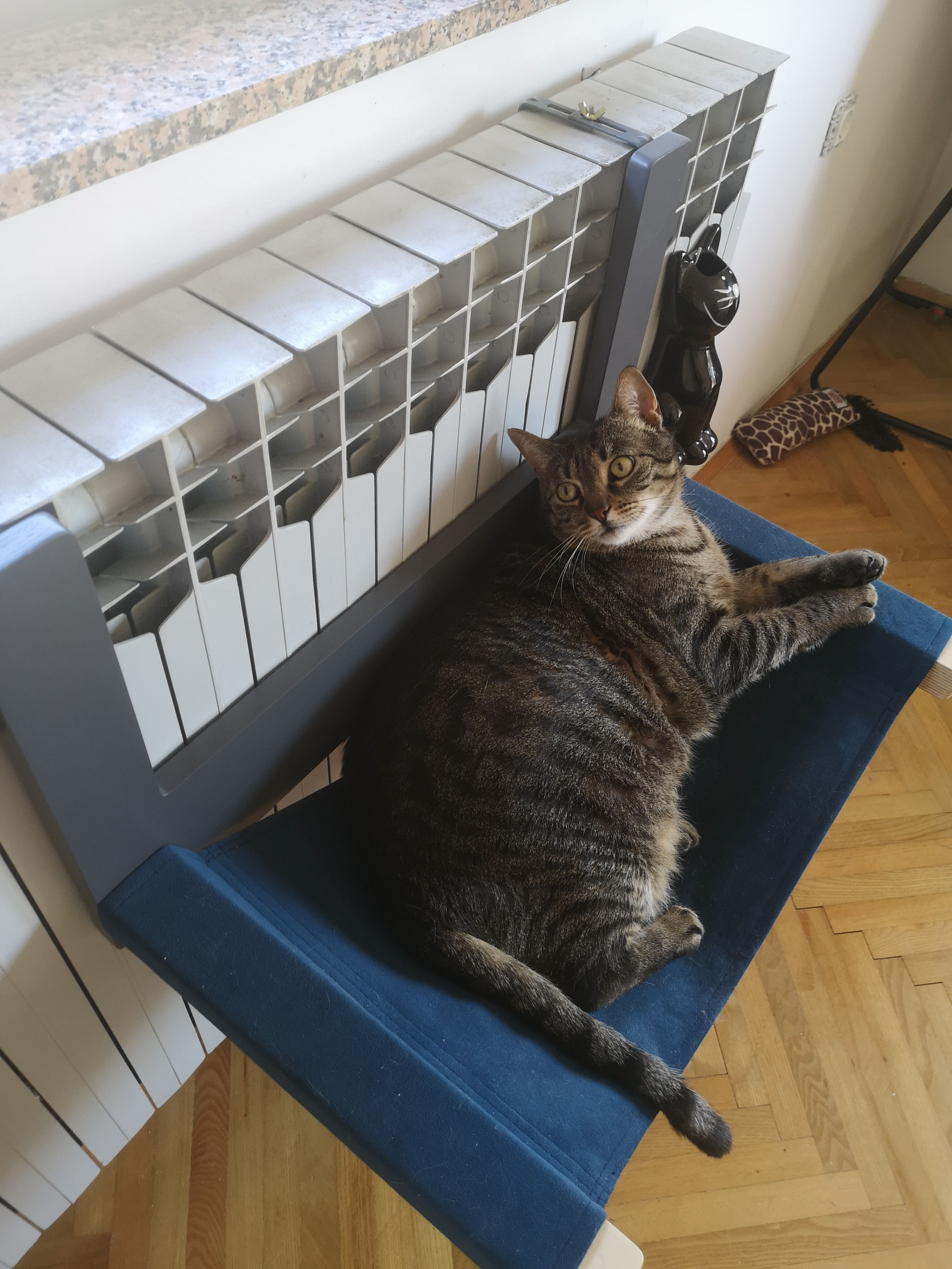 Cat Radiator Bed Hammock - Toasty BigCat Cot from Scratchy Things
