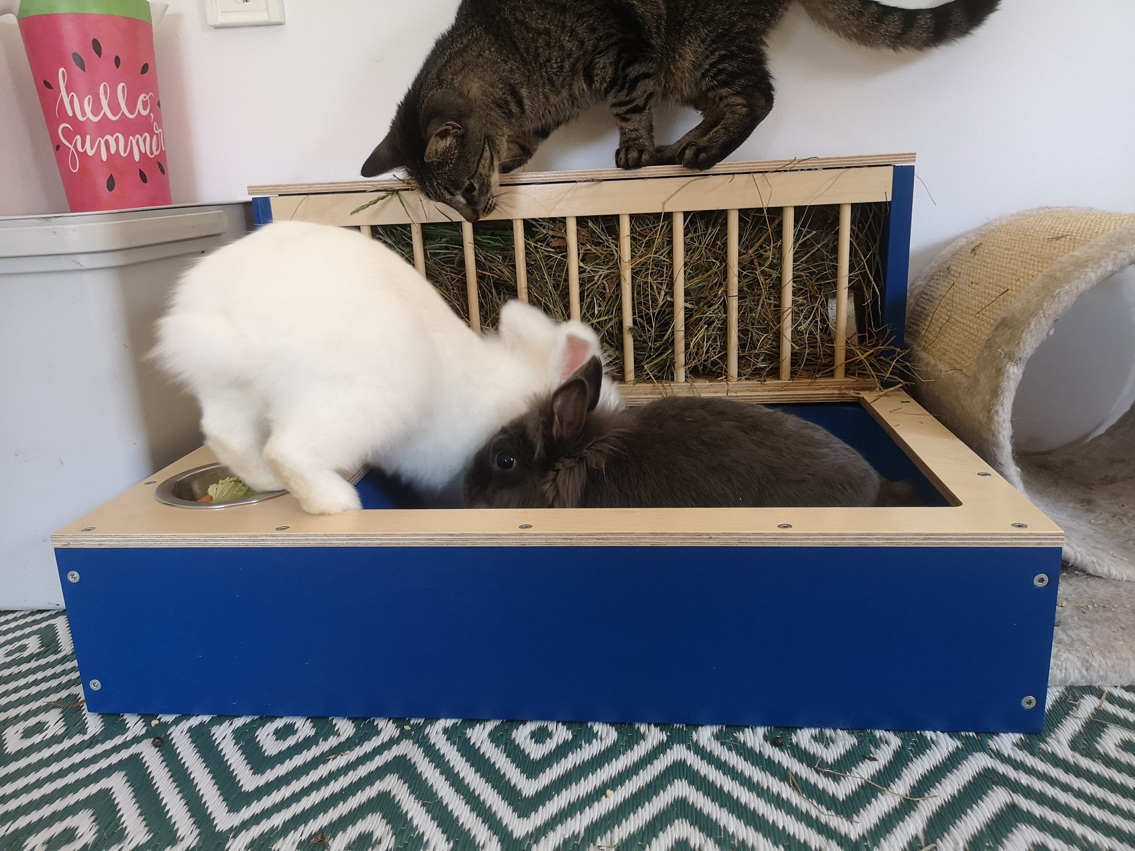 Rabbit Hay Feeder Litter box - Nibbler Combo Spectra 3in1 - Scratchy Things Premium Pet Furniture