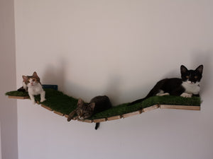 Cat Bridge Shelf Step Wide - Wally WideBridge (1Step - 1Step mount) - Scratchy Things Premium Pet Furniture