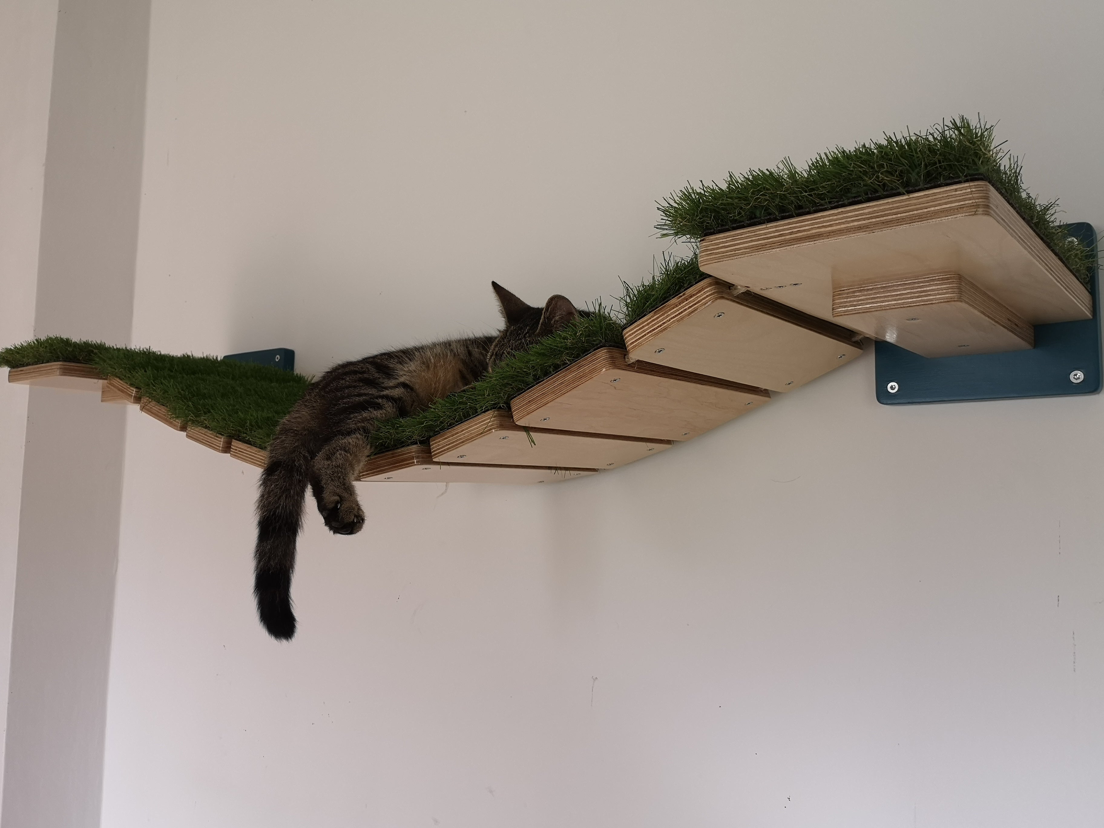 Cat Bridge Shelf Step Wide - Wally WideBridge (1Step - 1Step mount) - Scratchy Things Premium Pet Furniture