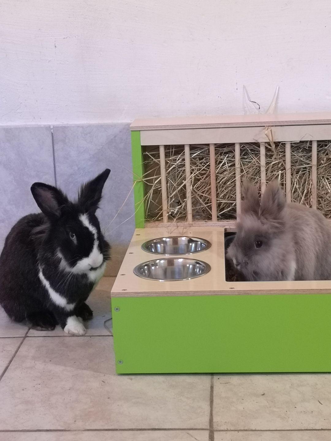 Rabbit Hay Feeder Litter box - Nibbler Combo Maxi 3in1 - Scratchy Things Premium Pet Furniture
