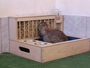 Rabbit Hay Feeder Water Litter box - Nibbler Combo 4in1 - Scratchy Things Premium Pet Furniture