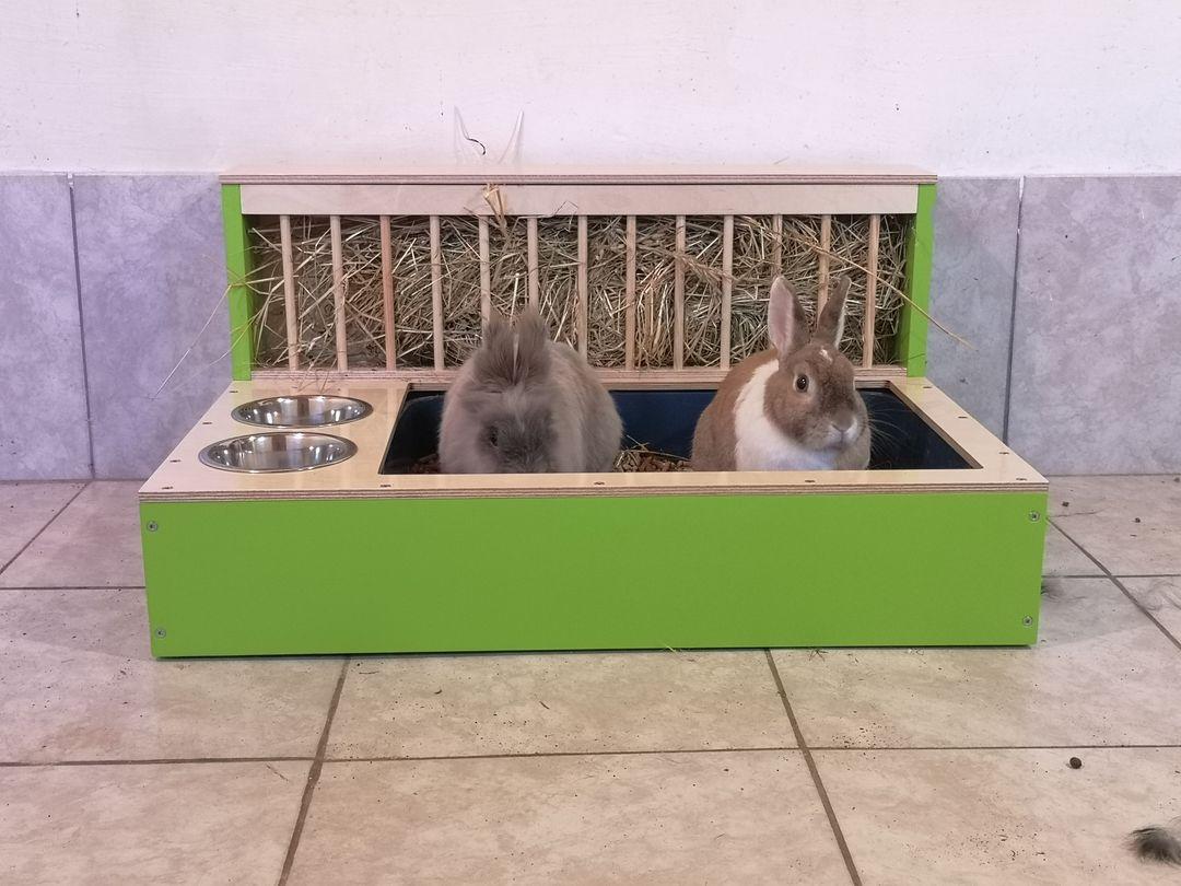 Rabbit Hay Feeder Litter box - Nibbler Combo Maxi 3in1 - Scratchy Things Premium Pet Furniture