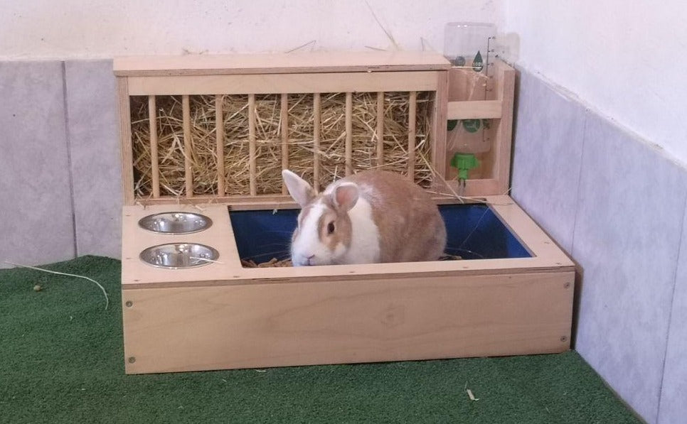 Rabbit Hay Feeder Water Litter box - Nibbler Combo 4in1 - Scratchy Things Premium Pet Furniture